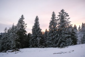 Wanterhütt 2022 174