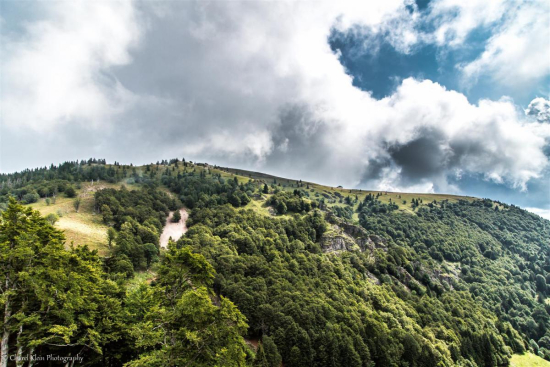 Belchen, August 2014     