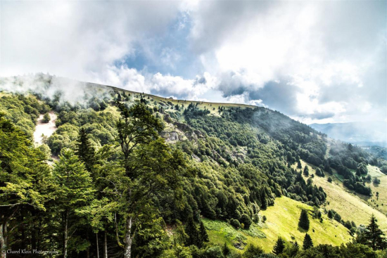 Belchen, August 2014     