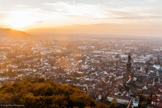Freiburg Panorama       