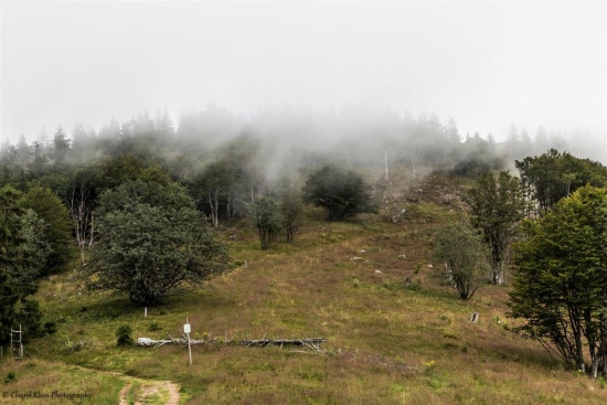 Belchen, August 2014   