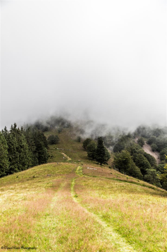Belchen, August 2014   