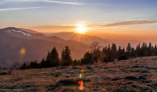 Sonnenennergang, Schwarzwald, März 2014     